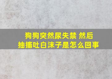 狗狗突然尿失禁 然后抽搐吐白沫子是怎么回事